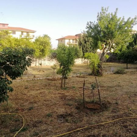 Appartamento Modica Relax Garden Esterno foto